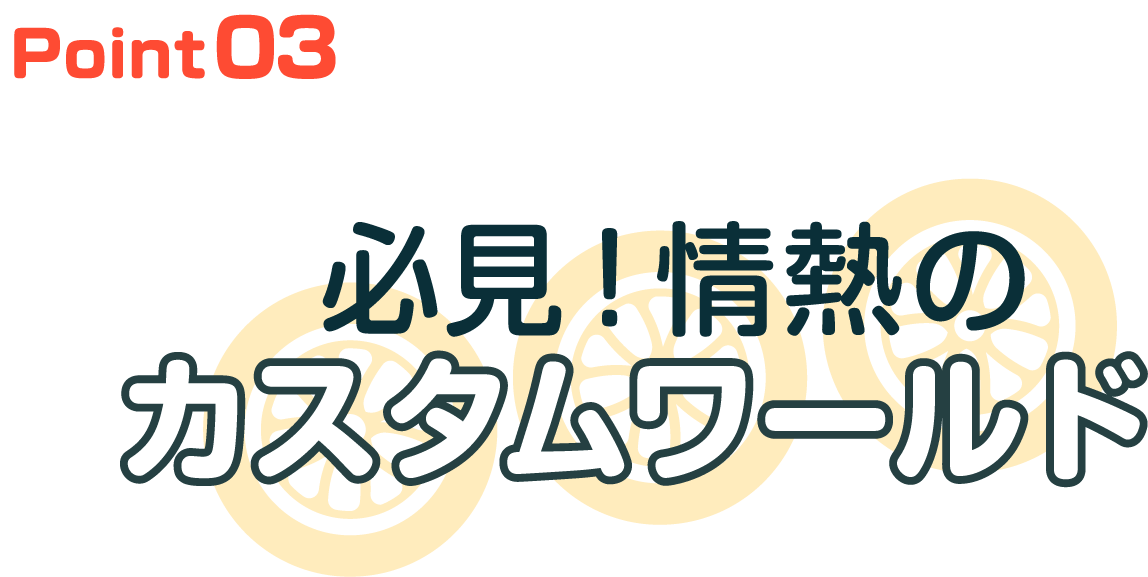 Point03 必見！情熱のカスタムワールド